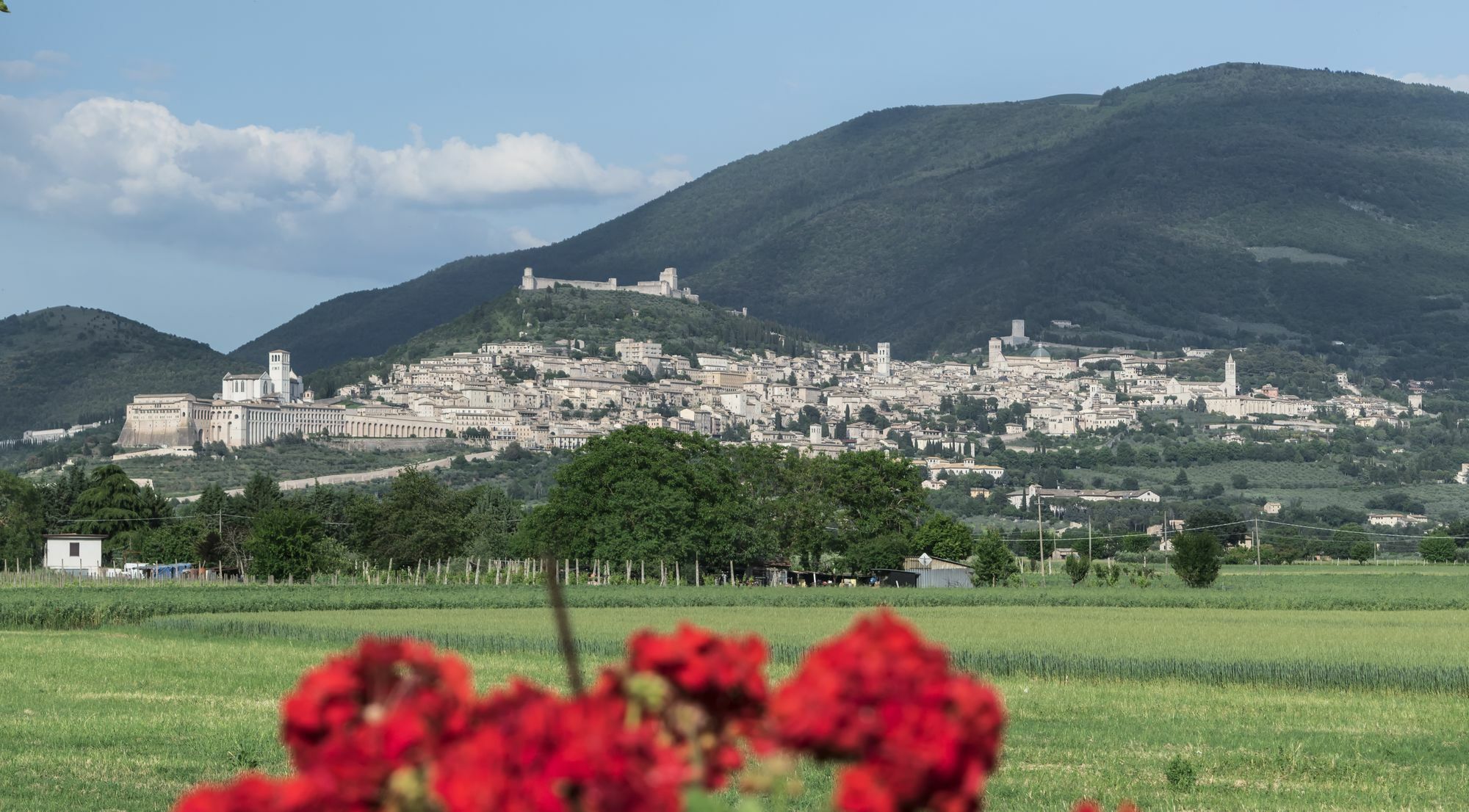Camere Mariella Assisi Bagian luar foto