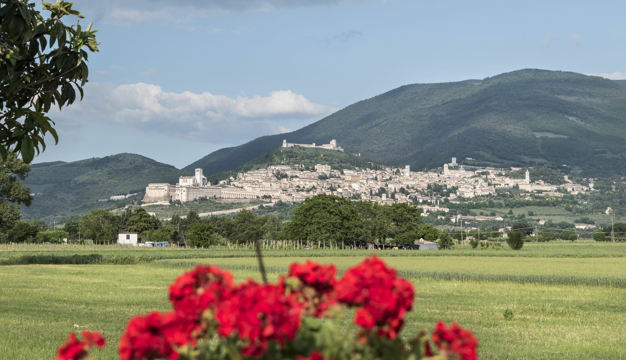 Camere Mariella Assisi Bagian luar foto
