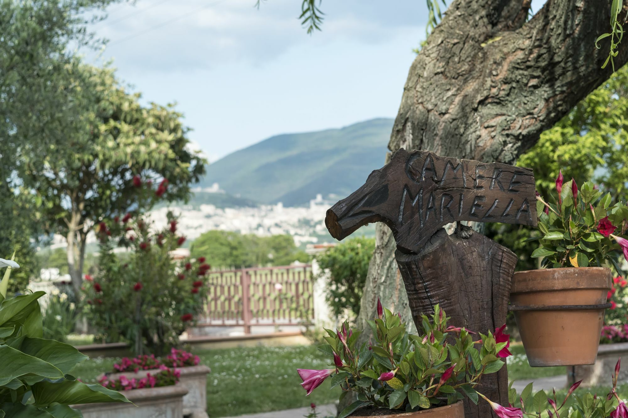Camere Mariella Assisi Bagian luar foto